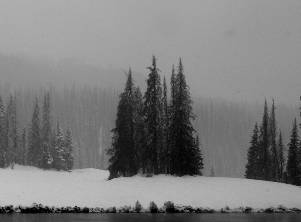 wolf creek pass, colorado - (c) e rockstroh.jpg